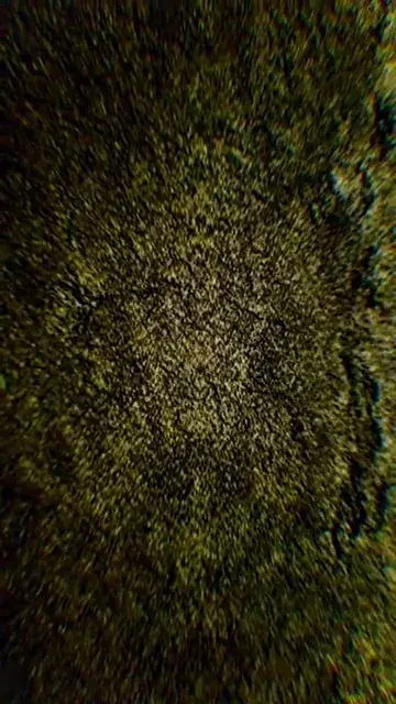2g and a blunt simulation