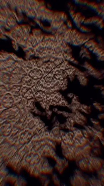 5g penis envy simulation