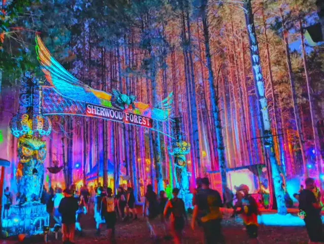 Flashbacks to Electric Forest last weekend!