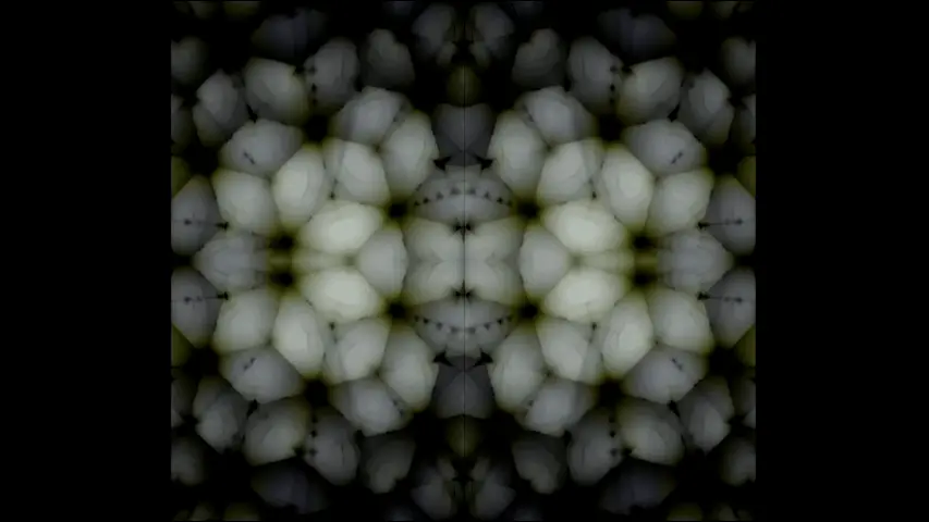 CEV 2g cubensis + DMT