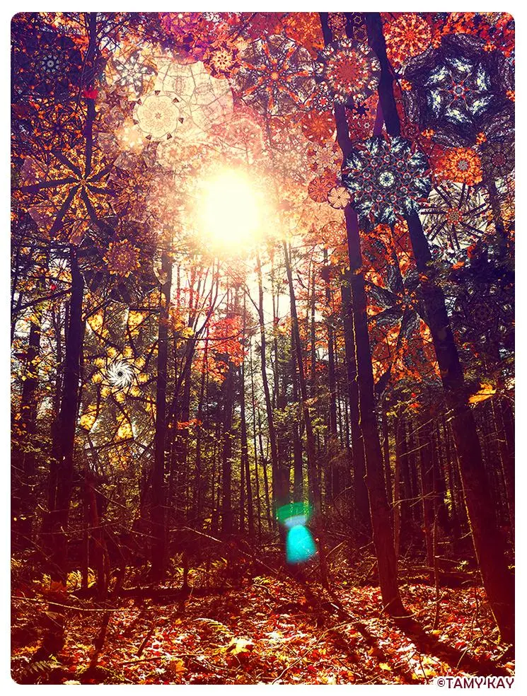 Beyond Human Sight (acid forest)