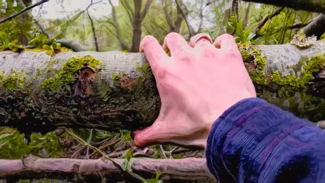 This tree bark feels so cool