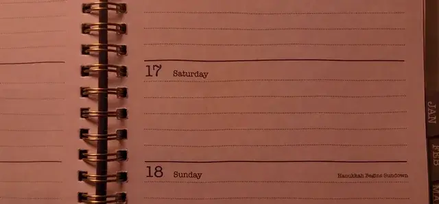 This planner is trying to tell me something (80µg LSD)