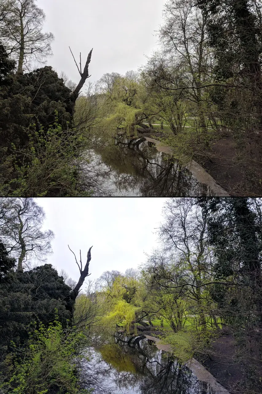 Before/after still image replication from a Psilocybin trip in Amsterdam