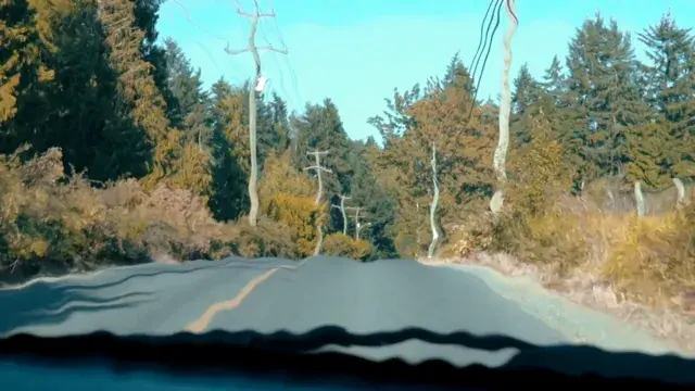 Road Trip...