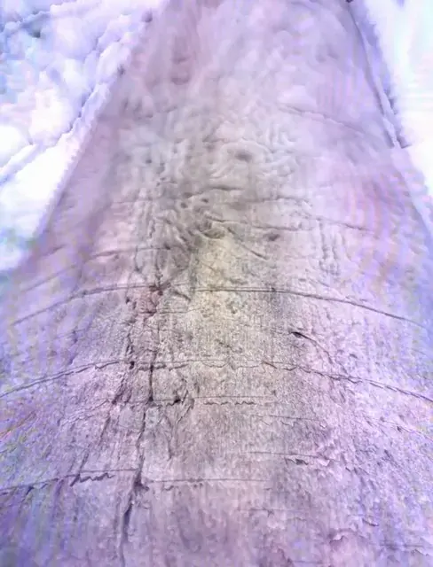 Depth of Field