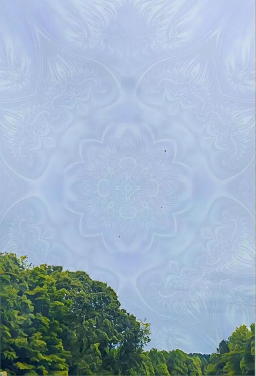 200ug LSD + Some Cannabis [OC]