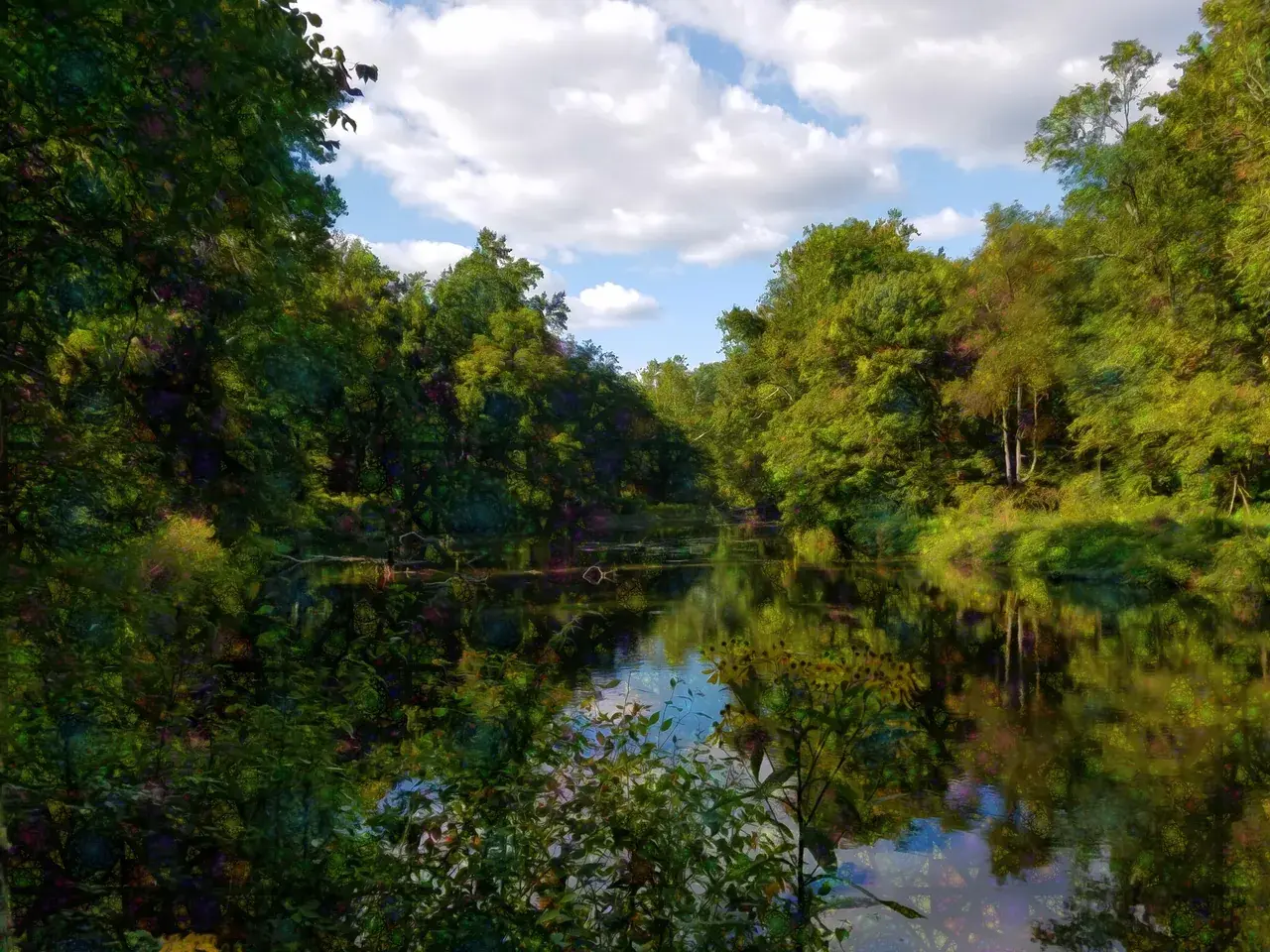 I had a lovely first trip in the woods