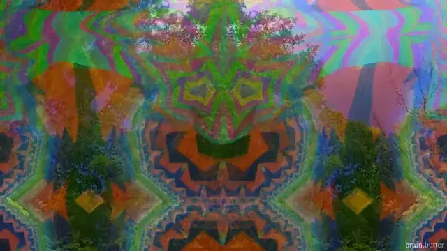 Meeting a DMT entity in the woods