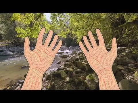 Thoughts on my DeepDream video?