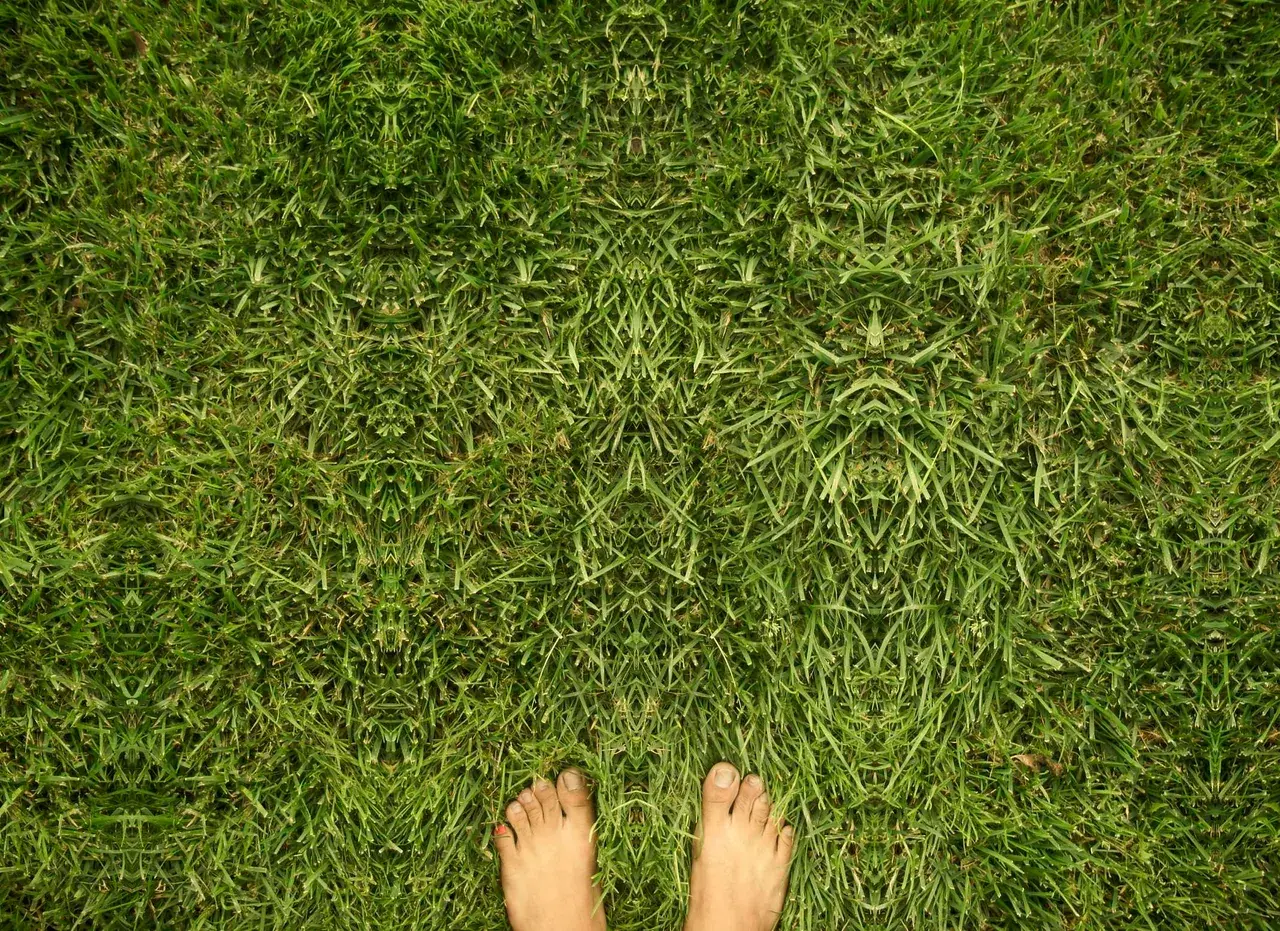 Lost in the grass