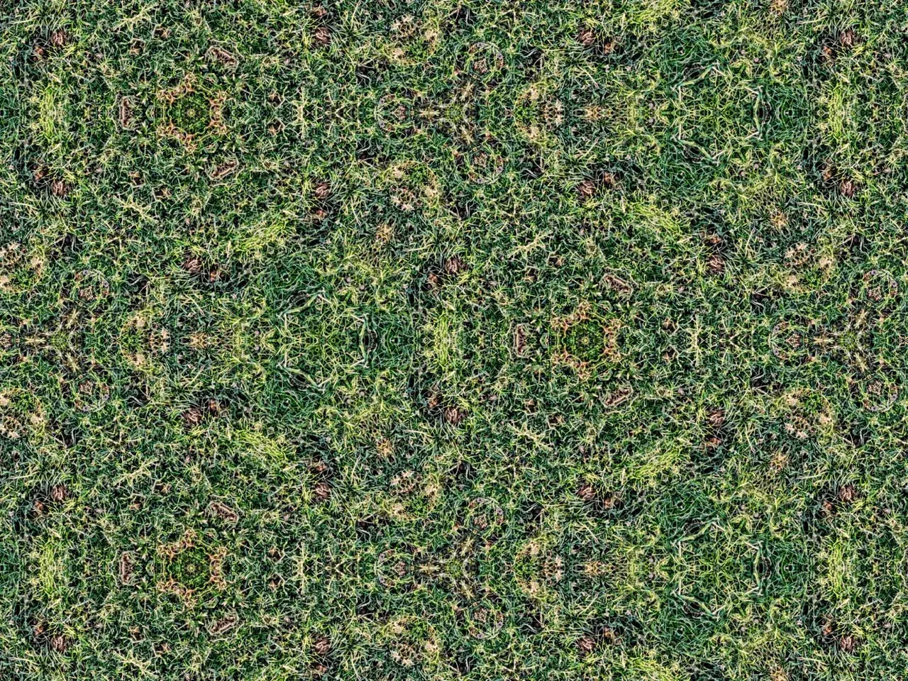 grass