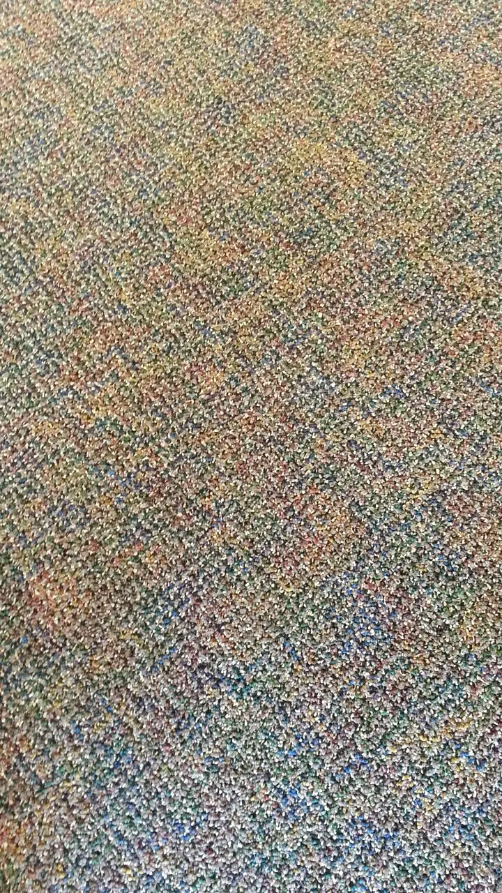 Carpet at the salon.