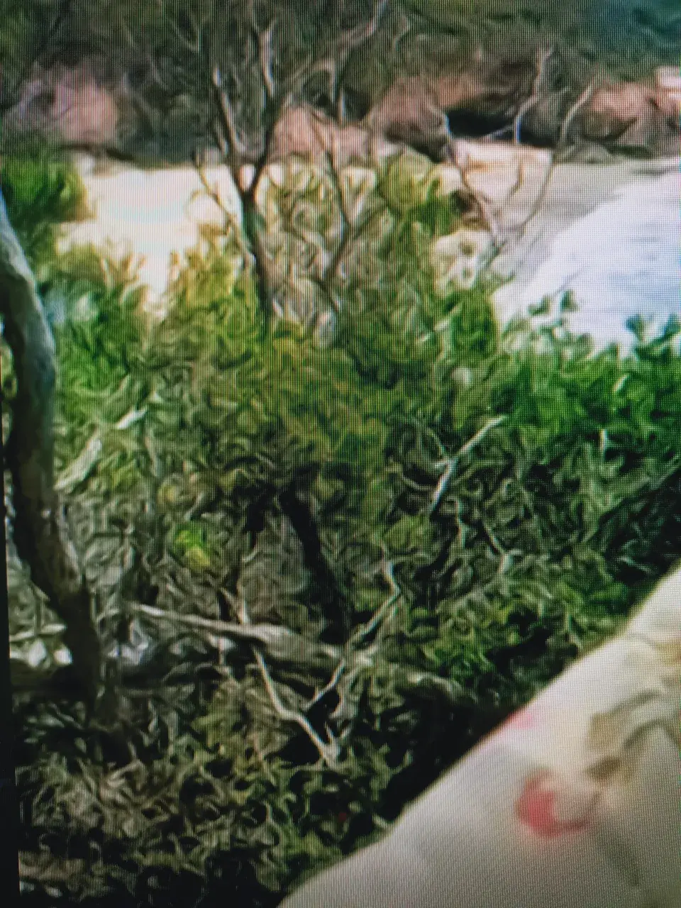 Saw this on a zoom call, it was the person's background