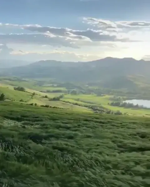 Think this might fit here