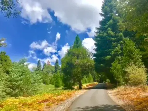150ug LSD on a nice day