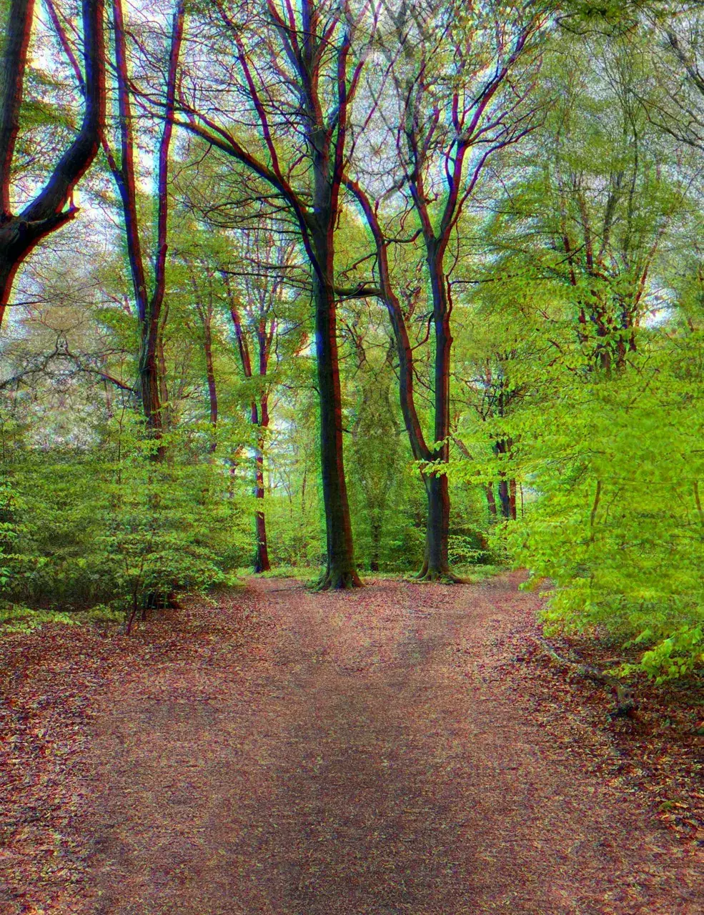 Nature type beat
