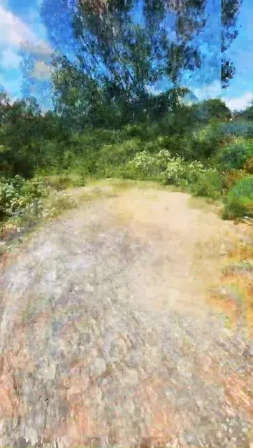 rocks
