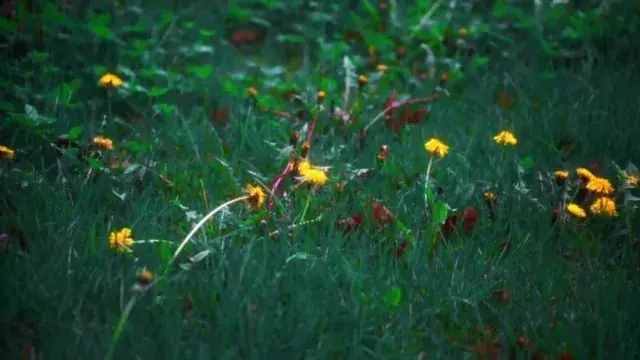 My first attempt to replicate a 200ug trip