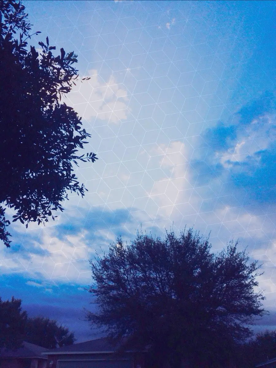 Lsd all nighter, the next morning on my way to class. Visual re-creation doesn't do justice. (OC)