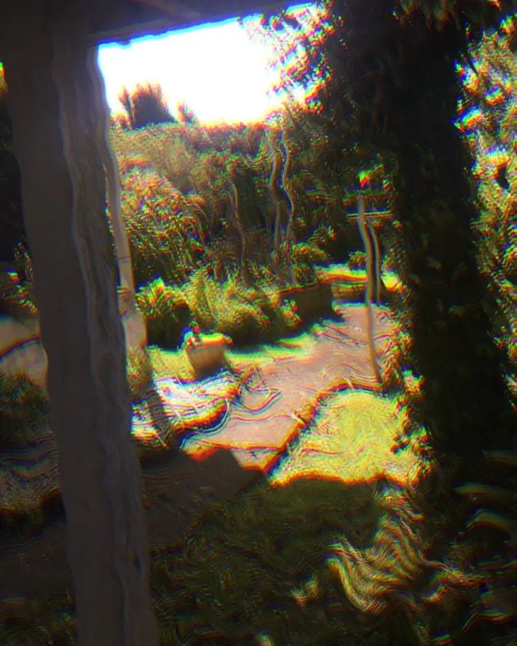 In the garden on LSD