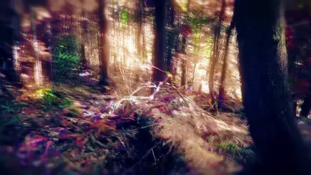 My first attempt - Made in After Effects