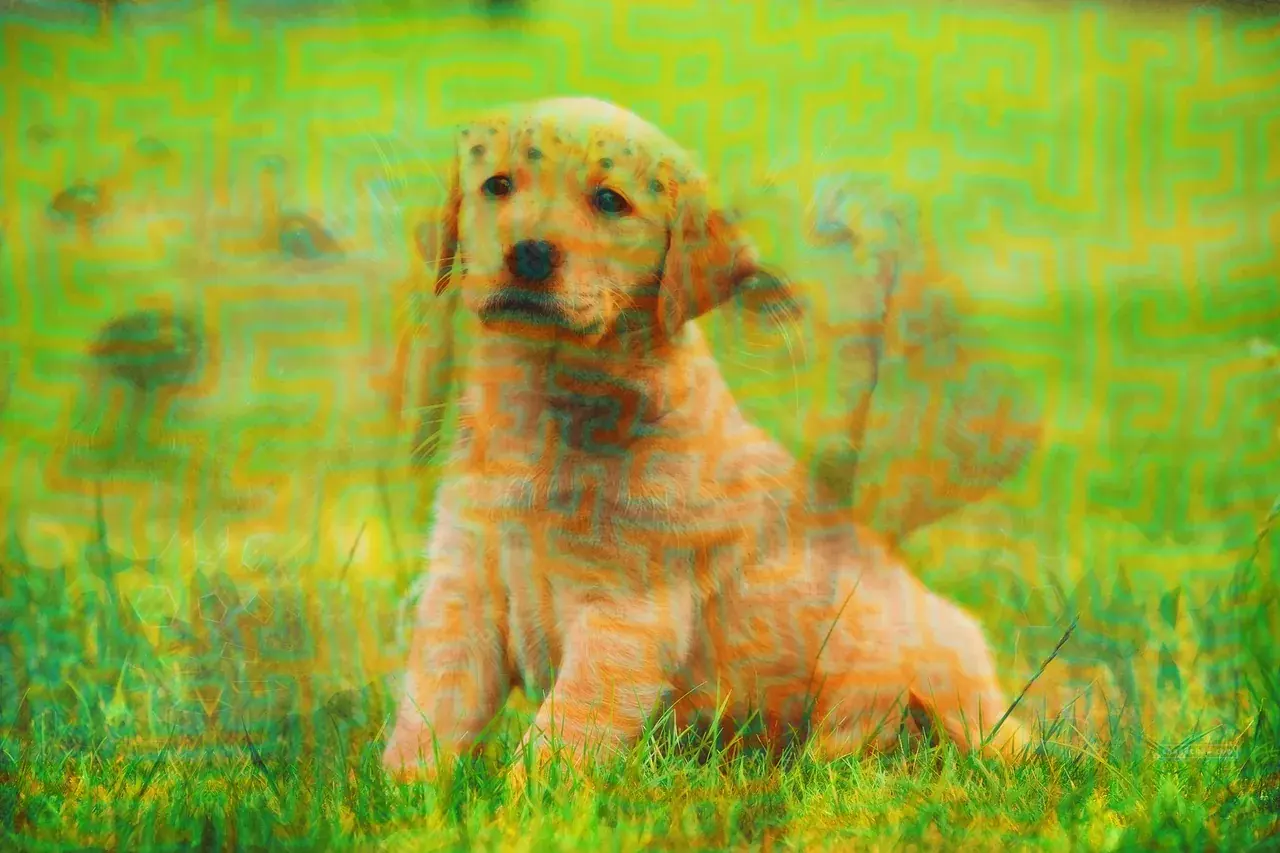 Cute Puppy :)