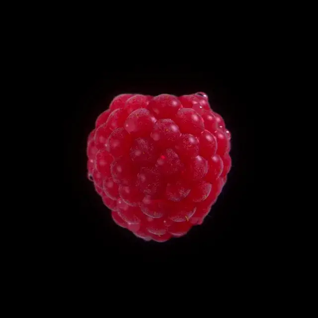 The Static On The Berry Looks Like My Visual Snow (HPPD)