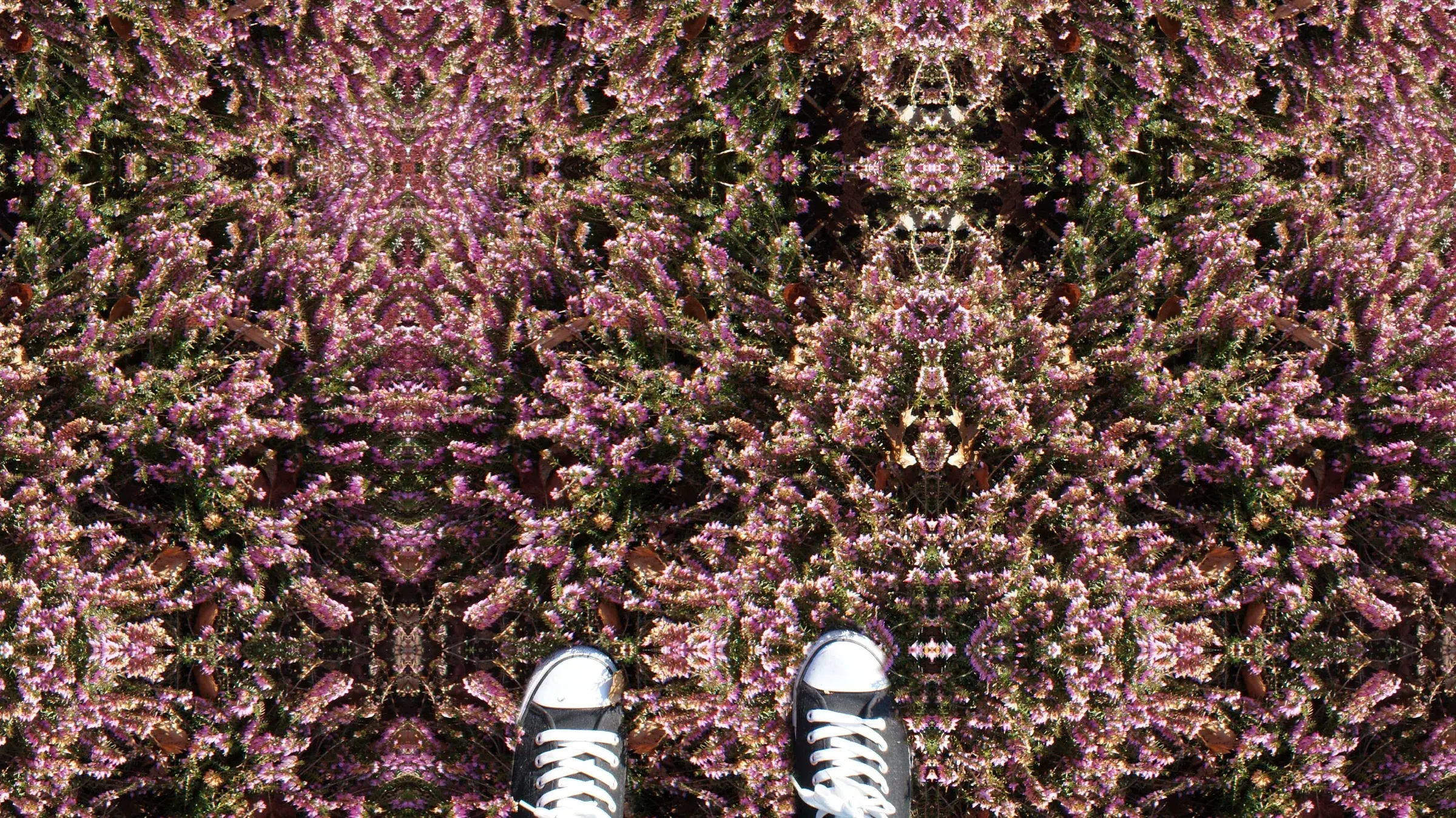 Flower bush