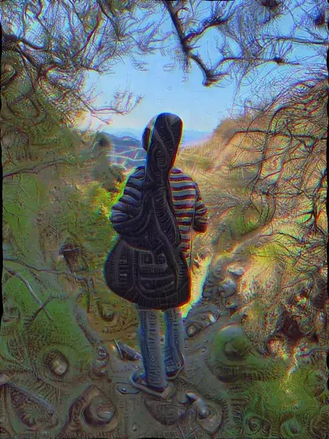 dreamer in disguise
