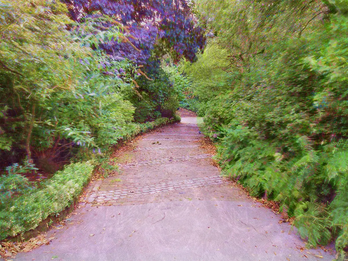path