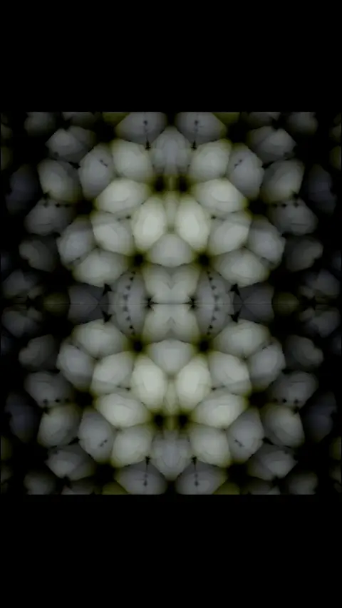 CEV .05g DMT vaped + 2g dried cubensis eaten
