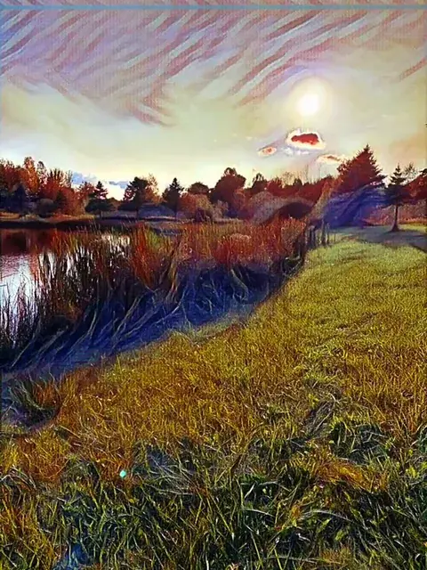 tried a new software