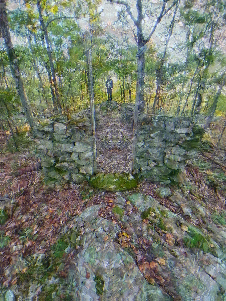 Our Natural Habitat (4-AcO-DMT)