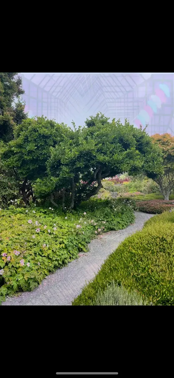 Mendocino botanical gardens on LSD