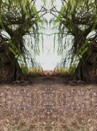 Symmetric drifting patterns