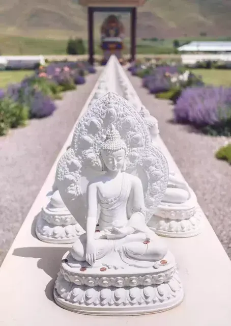 Happiness is the path (LSD)