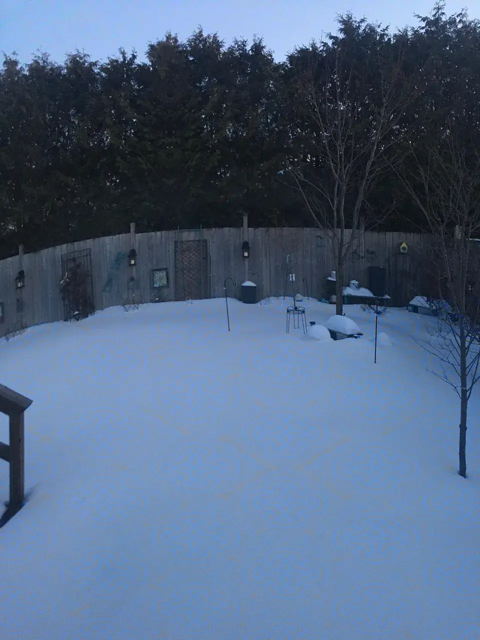 Looking out my window on the LSD come-up
