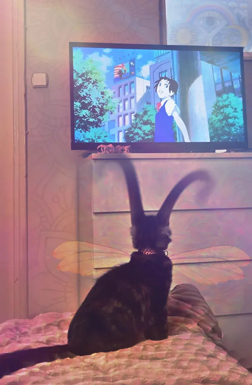 My cat isn’t catting no more