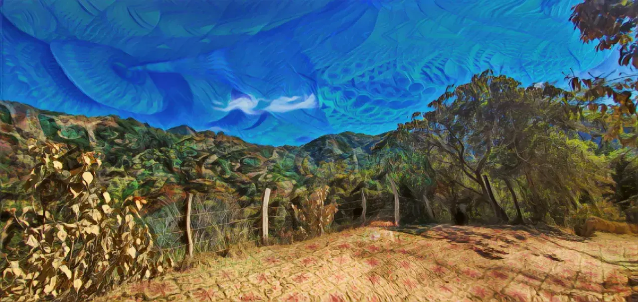 Magic Mushrooms 🍄 [OC]