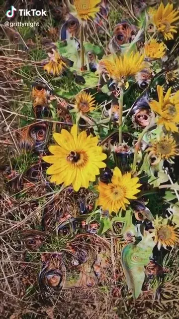 came across this page on tiktok ! ! great stuff , thought this sub would enjoy @grittynight