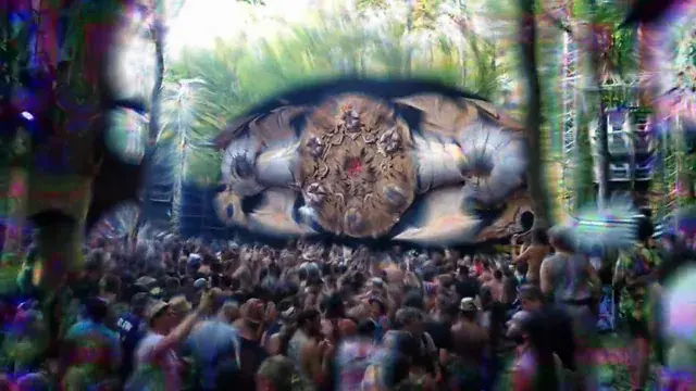 Tripping at the Hive (Sound driven visuals)