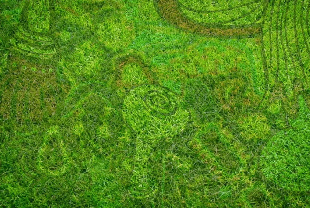 LSD Visual Replications