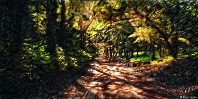 This Weird Wavy Forest Path (Try To Pay Attention To Tiny Details instead of big picture)