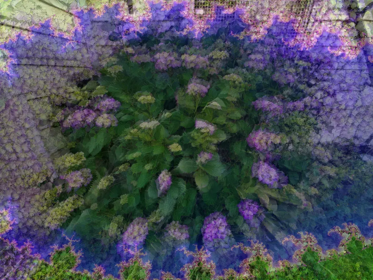 Where do the flowers even end?