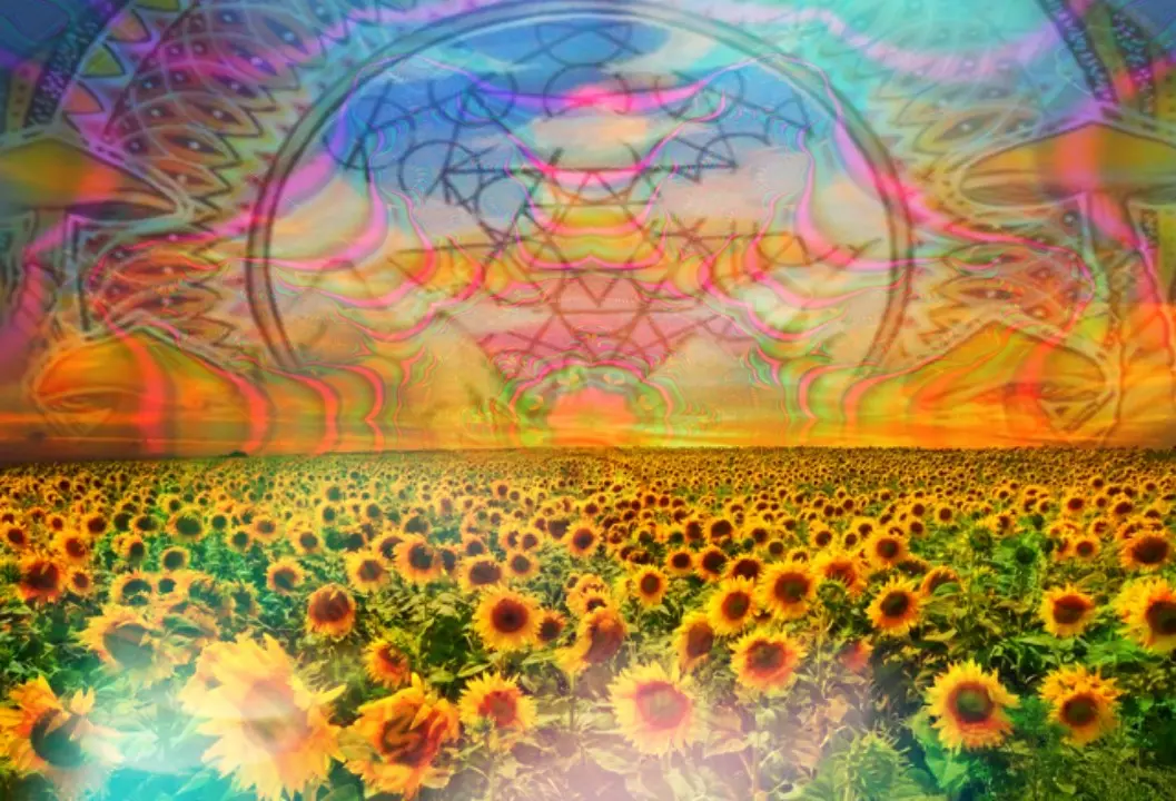 Trippy Fields
