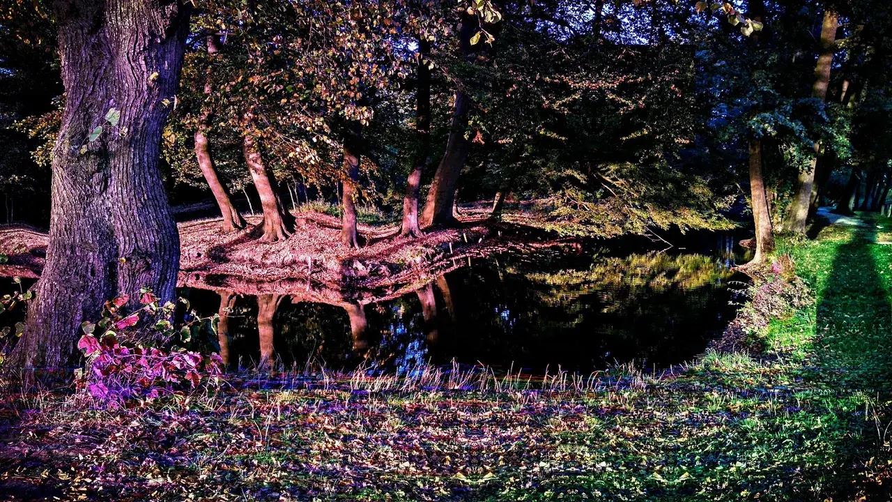 My most recent trip replication (100 ug)