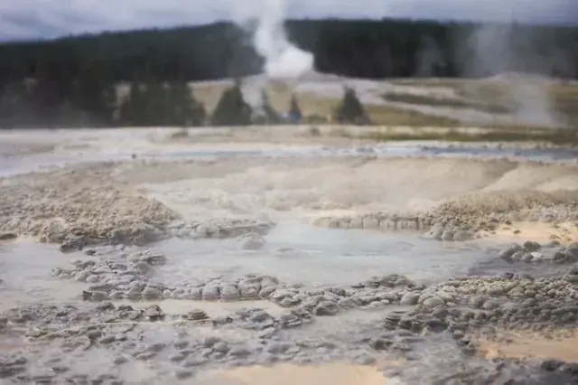 Yellowstone Trip (300ug LSD)