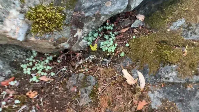 That zoom-out is awfully familiar