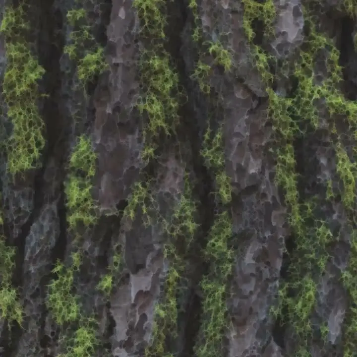 Acuity Enhancement on Tree Bark